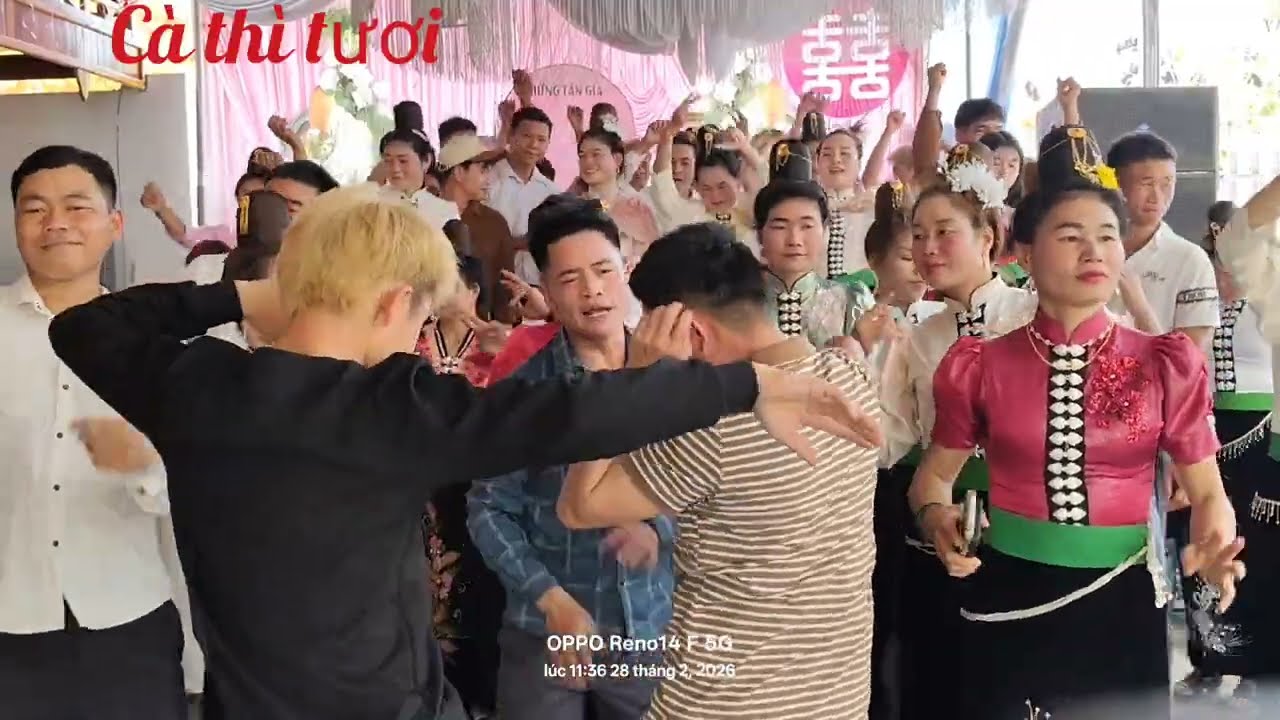 Video nhảy tổng hợp các bạn é tóng nhảy nhiệt tình quá đi 👏👏👏 mọi người hãy chia sẻ nhé 