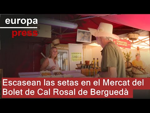 Escasean las setas en el Mercat del Bolet de Cal Rosal de Berguedà
