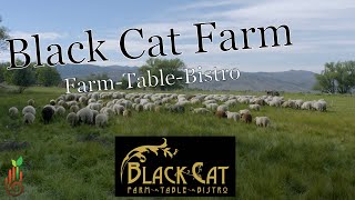 Black Cat Farm interview with Eric Skokan in Boulder, CO (Part 1 of 4)