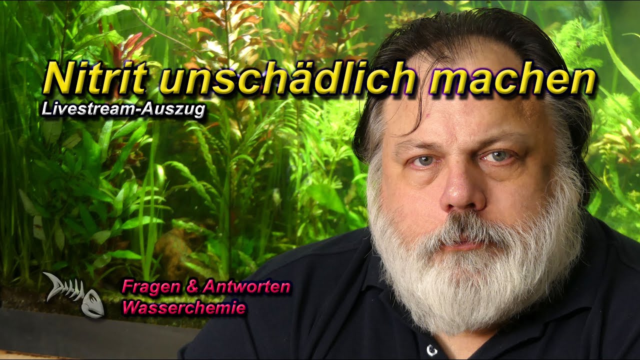 NITRIT MIT SALZ UNSCHÄDLICH MACHEN und andere Wundermittelchen im Aquarium