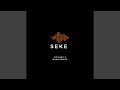 Seke (feat. Rogunz)