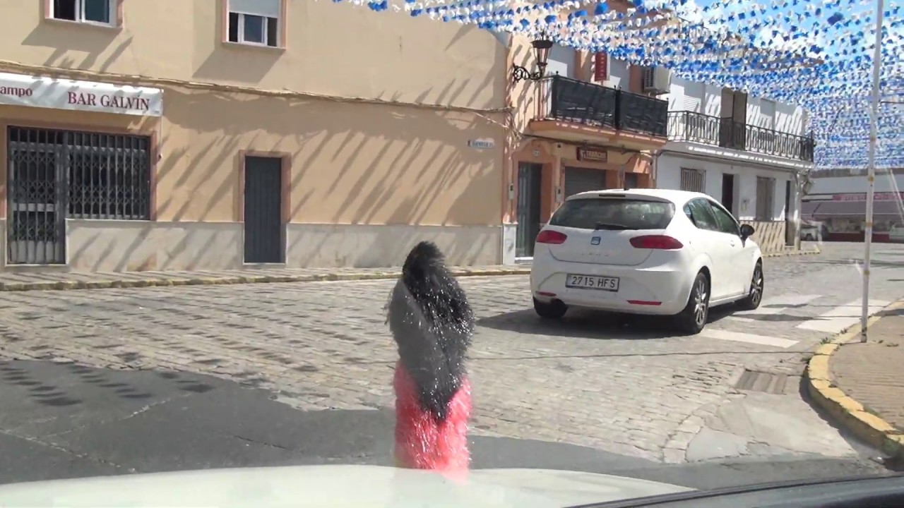 Monterreina Lepe N431 Spain Spanien España 28.5.2017 #1336