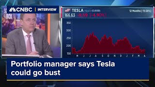 Portfolio manager says Tesla could go bust