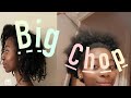 MY FIRST BIG CHOP / NATURAL 4B/4C HAIR 2021