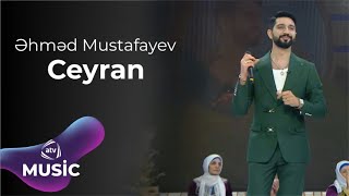 Əhməd Mustafayev - Ceyran Resimi