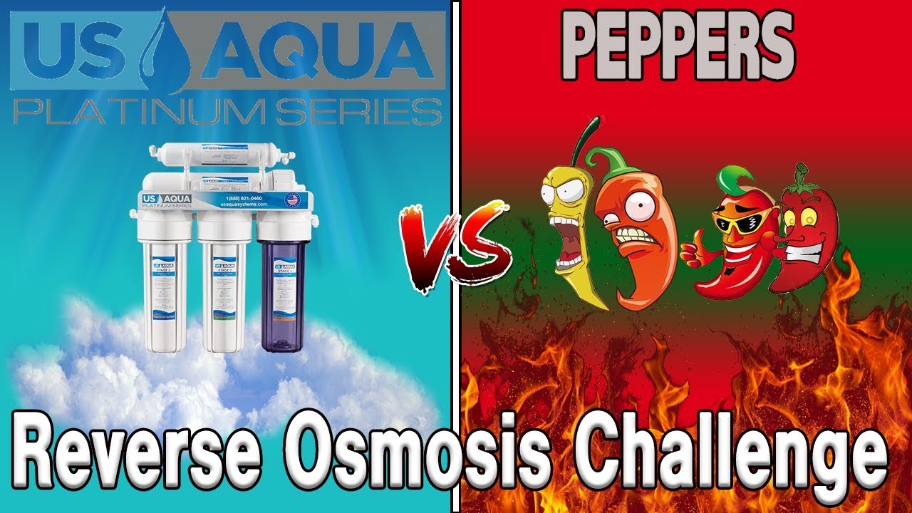 FILTER OR FAIL! Peppers Reverse Osmosis Water Filtration Challenge