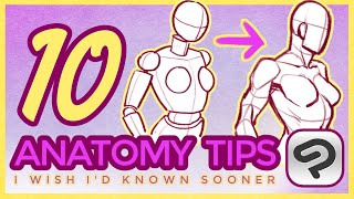 【Tutorial】10 TIPS TO LEARN ANATOMY (Clip Studio Paint)