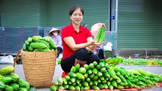Harvest Bitter Melon Goes To Market Sell | Gardening And Cooking | Lý Song Ca