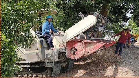 Cảnh máy cắt 102 Lên phà Cắt lúa giống ô em 18 tập1055#maibangtv