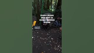 Kita terpaksa berhenti dulu karena ada suara penghuni hutan, entah itu hantu atau jin penunggu⁉️