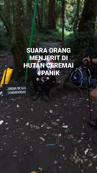 Kita terpaksa berhenti dulu karena ada suara penghuni hutan, entah itu hantu atau jin penunggu⁉️
