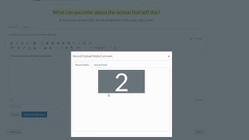 Submitting Text/Media Assignments in Canvas