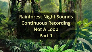 * Rainforest Night Sounds * Continuous Recording * Not A Loop * Part 1 * Tinnitus Masking Sounds *