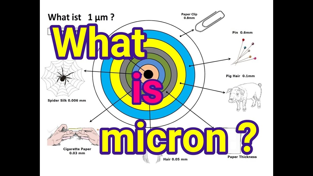 What Is a Micron? Definition and Examples