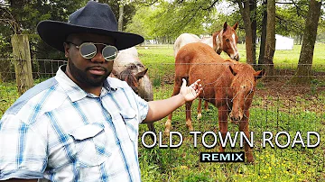 Old Town Road Remix [Lil Nas X & Billy Ray Cyrus Inspired Music Video] #NemRaps