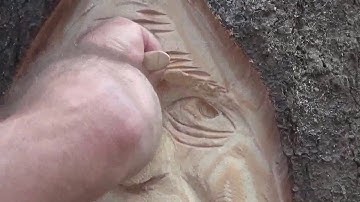 Wood Carving/Chainsaw Carving a Face (chainsaw carving tips)