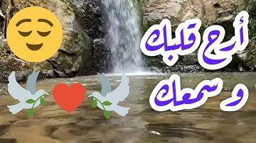وما خلقنا السماء والأرض وما بينهما باطل 👈بصوت القارئ وليد هاني