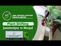 🚚 Anil Packers and Movers Jamshedpur to Bhopal. Plants Shifting Service.