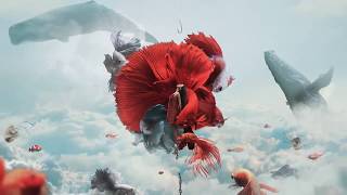 Aquarium of freedom - Speed art manipulation (#Photoshop) screenshot 3