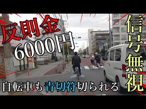 悲報😫信号無視して反則金6000円×青切符 ロードバイク初心者自転車教習所