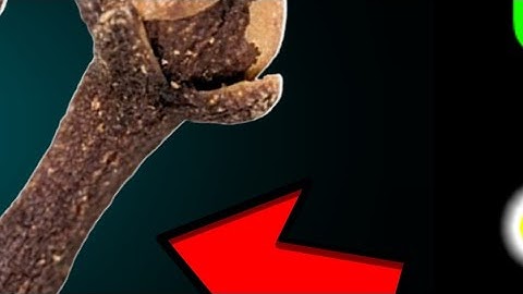 23 मई शुक्रवार अपरा एकादशी को 1 हल्दी दीपक वाला उपाय जरुर करे || Premanand Ji Maharaj