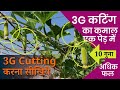 3G Cutting करना सीखिये | लौकी, गिलकी, करेला, बैगन में 3g कटिंग कैसे करें? | 3G Cutting Kaise Kare