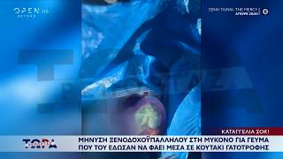 Μύκονος: Μήνυση ξενοδοχοϋπαλλήλου για γεύμα που του έδωσαν μέσα σε κουτάκι γατοτροφής