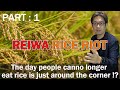 Reiwa rice riot part 1. Why is Rice getting too expensive and how does release of reserve rice work?