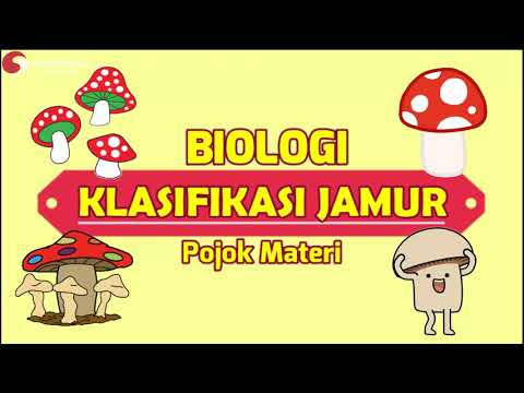 Video: Apa saja spesies jamur kantung?