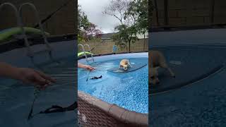 Live highlight