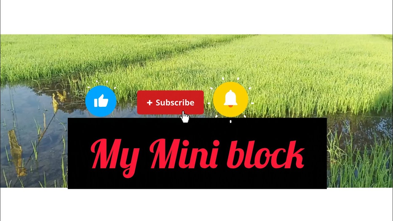 My Mini block 