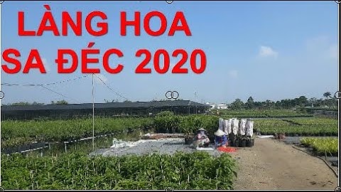 Làng Hoa Sa Đéc Điểm Du Lịch  Xuân 2020 Cao Lãnh Đồng Tháp  | Sông Nước Miền Tây
