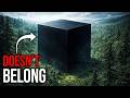 Something on Earth Doesn’t Belong Here — And We Found It Documentary For Sleep