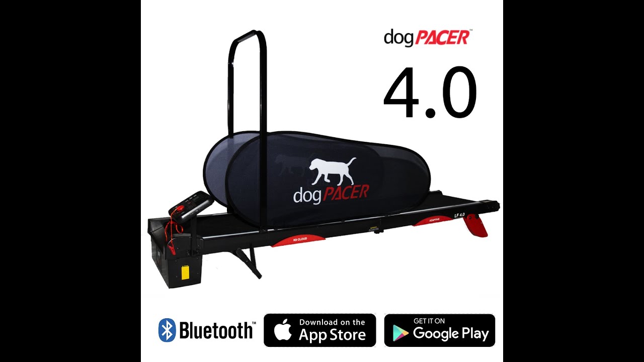 The Worlds First Smart Dog Treadmill dogPACER 4.0 - Shop Now
