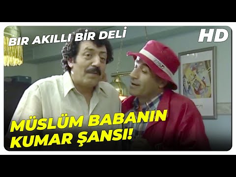 Bir Akıllı Bir Deli - Burun Burun Değil Ki Budak Deliği! | Müslüm Gürses Eski Türk Filmi