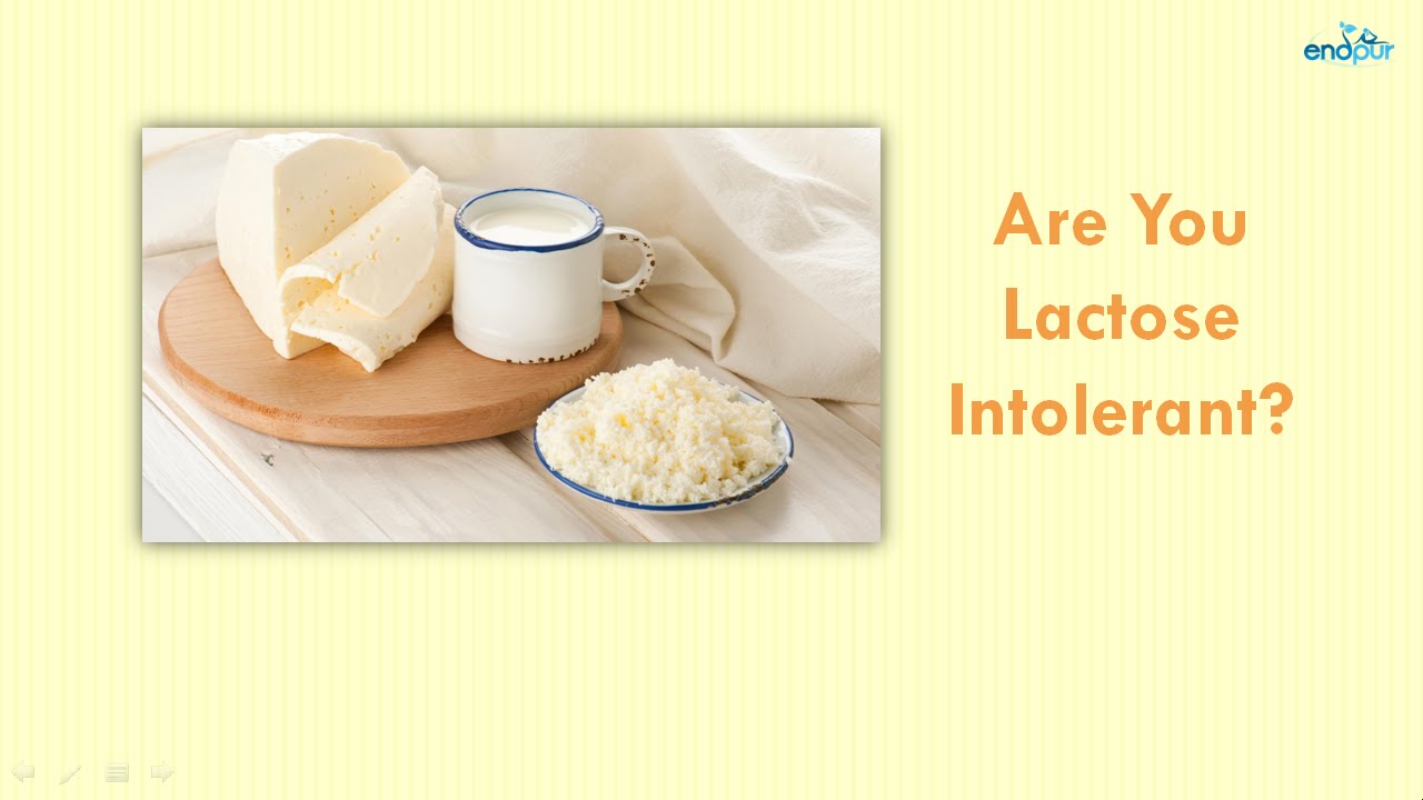 Are You Lactose Intolerant? | Lactose Intolerance | What is Lactose