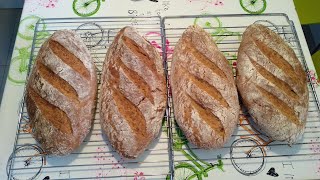 Pan de masa madre con Thermomix (2/3 integral - 6.7% de aceite - 1-2% de levadura - 80% hidratación)