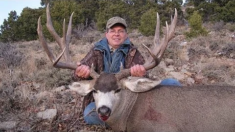 Utah Mule Deer 2009 Sportsman's Tag - MossBack