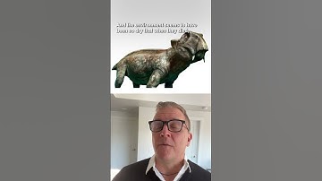 One of the most tragic fossils we