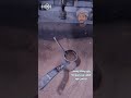 يا رب استرنا بسترك التي سترت به ذاتي
