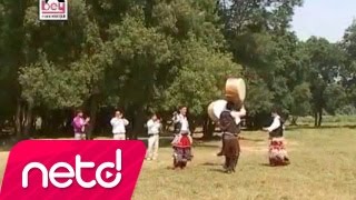 Çeşitli Sanatçılar - Kavur Balıkları Resimi