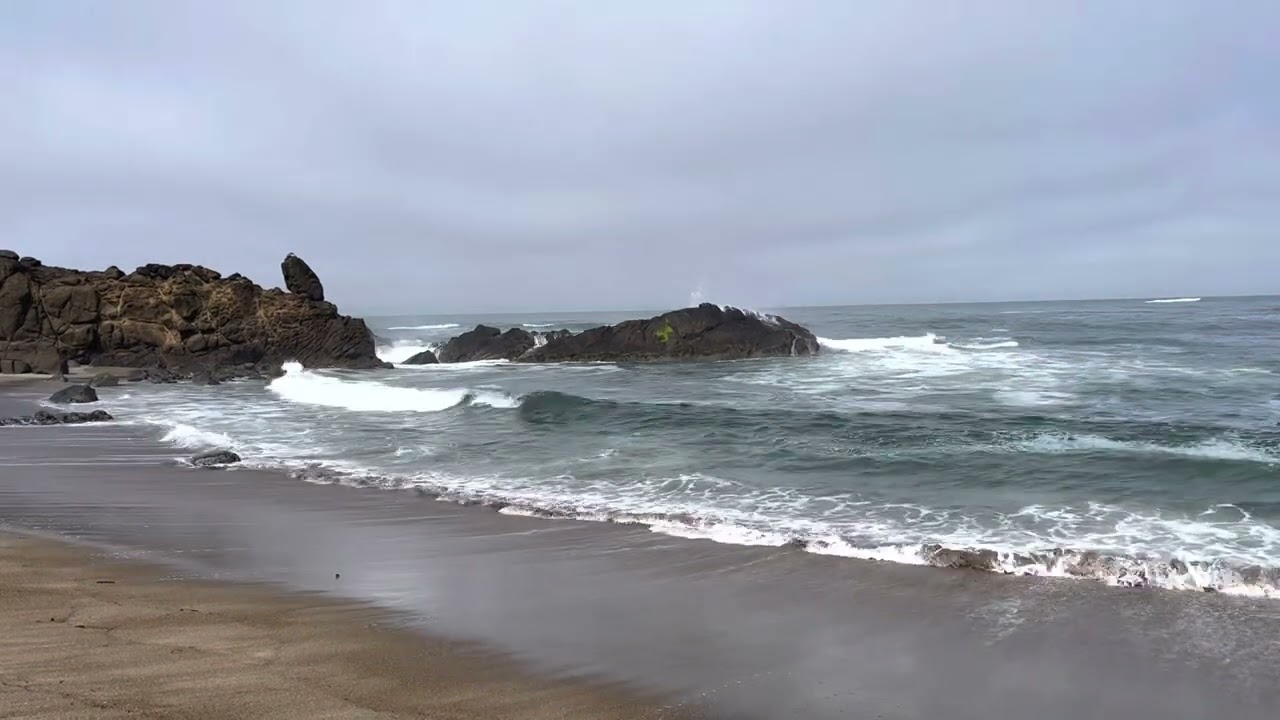 Fogarty Creek State Park