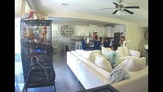 Couch Jump Challenge