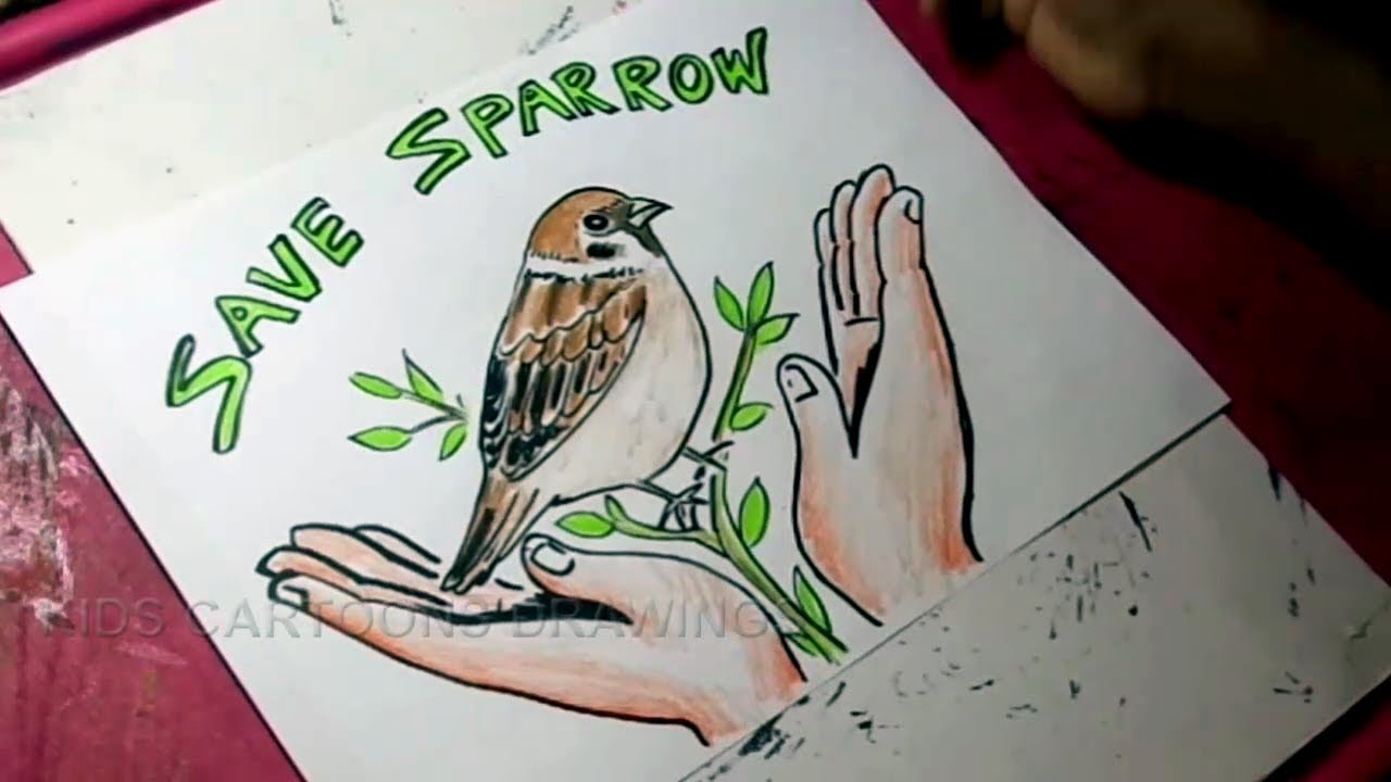 Aggregate 125+ save sparrow drawing best