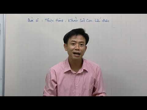 Video vật lý 12. Bài 6: Thực hành. Khảo sát dao động con lắc... - youtube