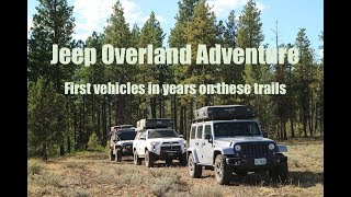 Jeep Overland Car Camping Adventure  - Clearing Trail, Epic Campsite, First Vehicles! @CoyoteWorks01