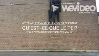 Qu'est ce que le PEI ?