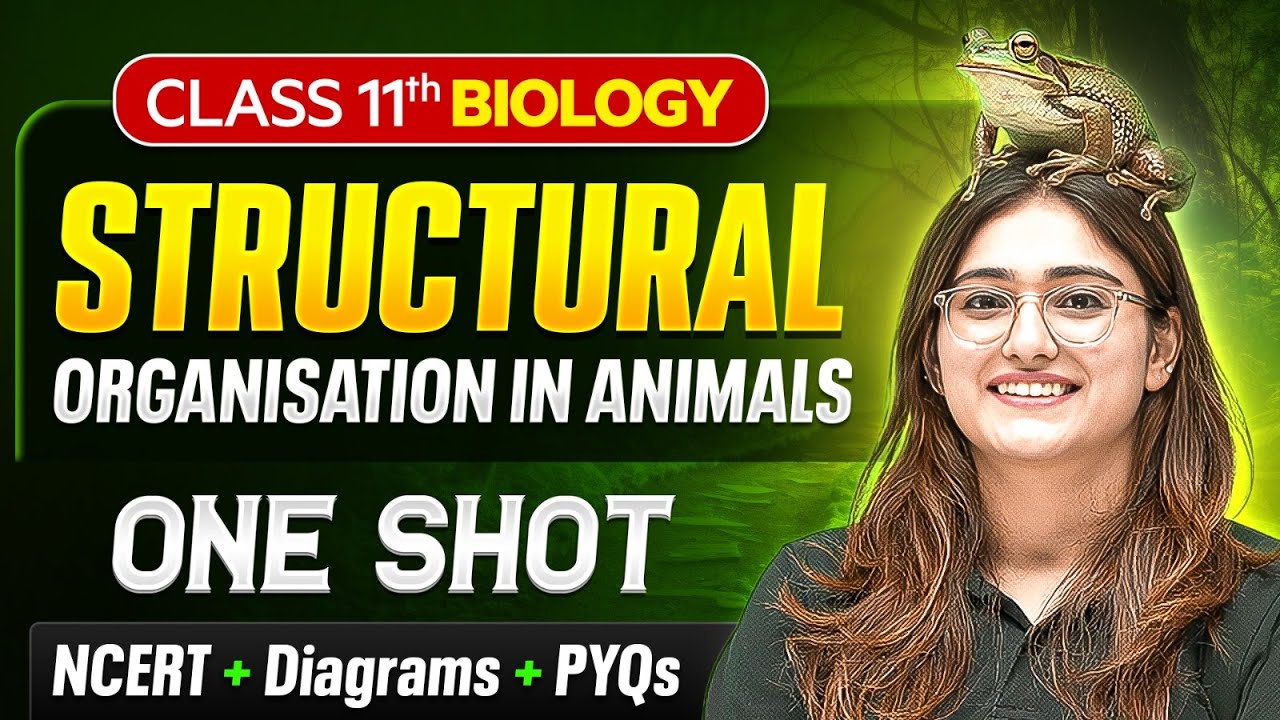 Structural Organisation In Animals Class 11 One Shot 🔥 | NCERT ...