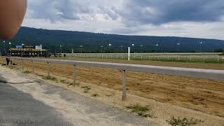 Ostrich Racing - Penn National