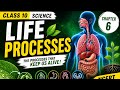 Life processes part 4
